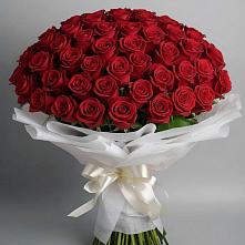 Букет 101 Красная роза Блэк Мэджик в Верейке