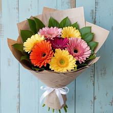 Букет цветов из:  Герберы #REPLACE_PRED# Верейке