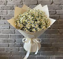 Букет цветов из:  Ромашки в Верейке