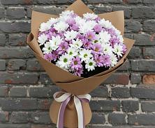 Букет цветов из:  Хризантемы #REPLACE_PRED# Верейке