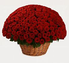 Премиум букет из: Розы #REPLACE_PRED# Верейке