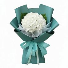 Букет цветов из:  Гортензия в Верейке